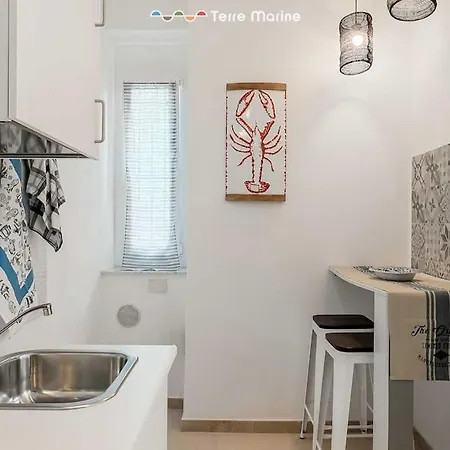 White 89, Terremarine *